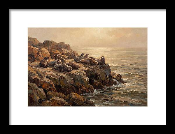 Seals Basking On Rocky Ledge