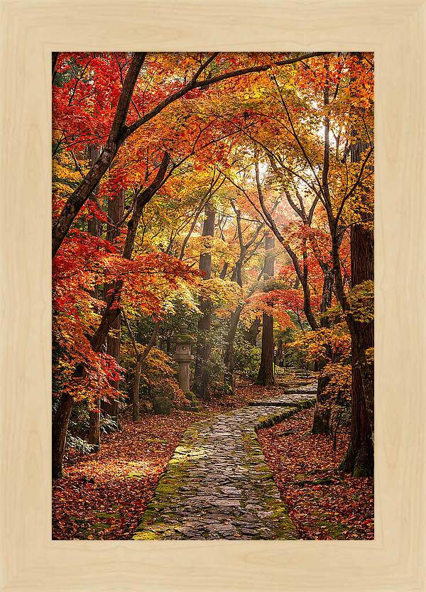 Seasonal Maple Tunnel