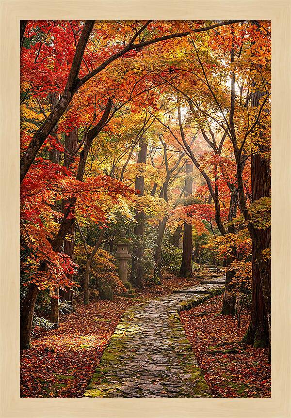 Seasonal Maple Tunnel
