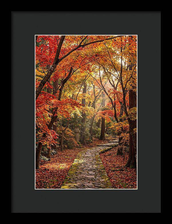 Seasonal Maple Tunnel