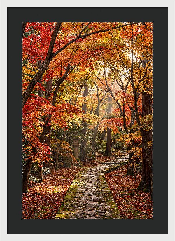 Seasonal Maple Tunnel