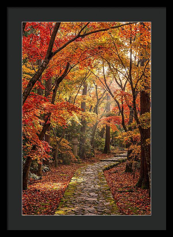 Seasonal Maple Tunnel