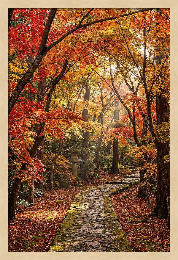 Seasonal Maple Tunnel