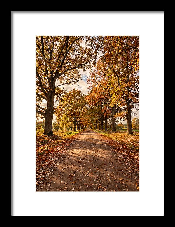 Seasonal Serenity Along Oak Avenue
