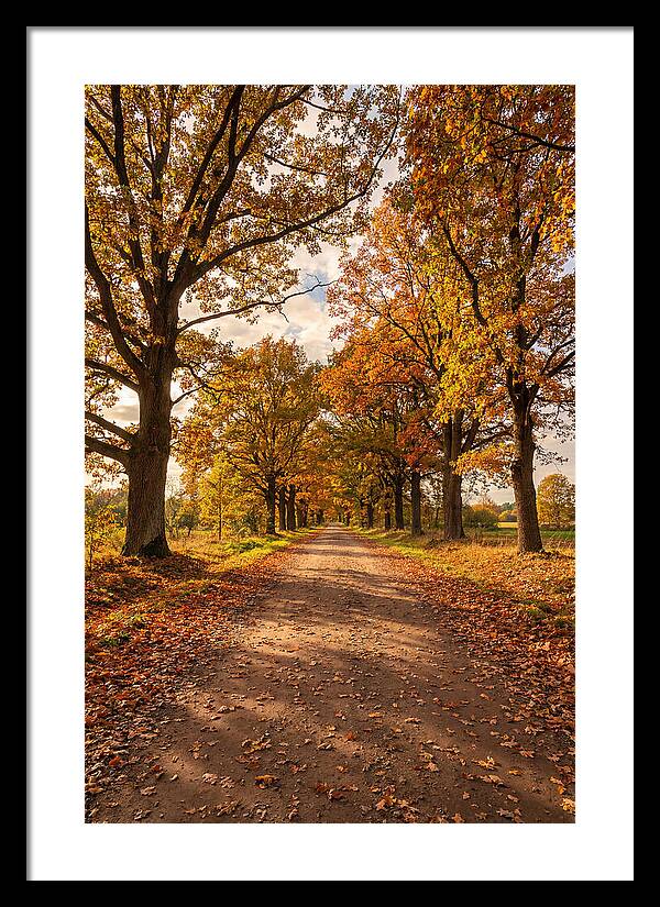 Seasonal Serenity Along Oak Avenue