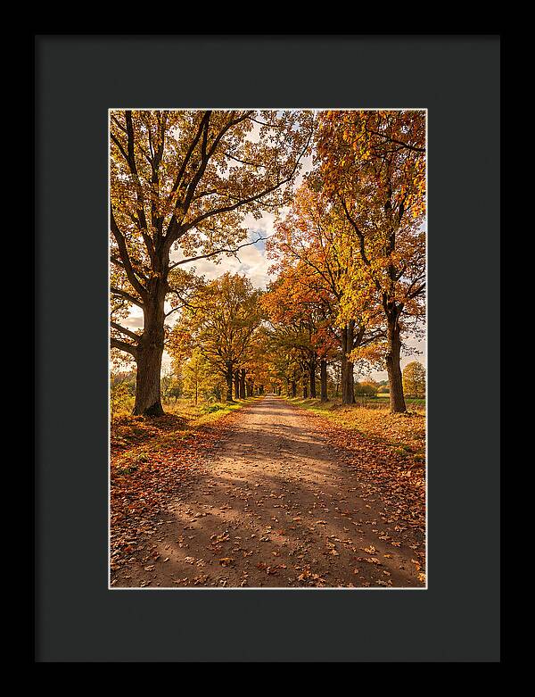 Seasonal Serenity Along Oak Avenue