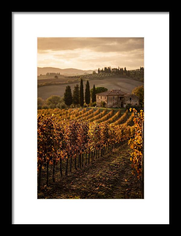 Seasonal Serenity In Tuscany