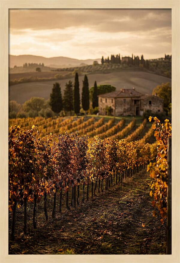 Seasonal Serenity In Tuscany