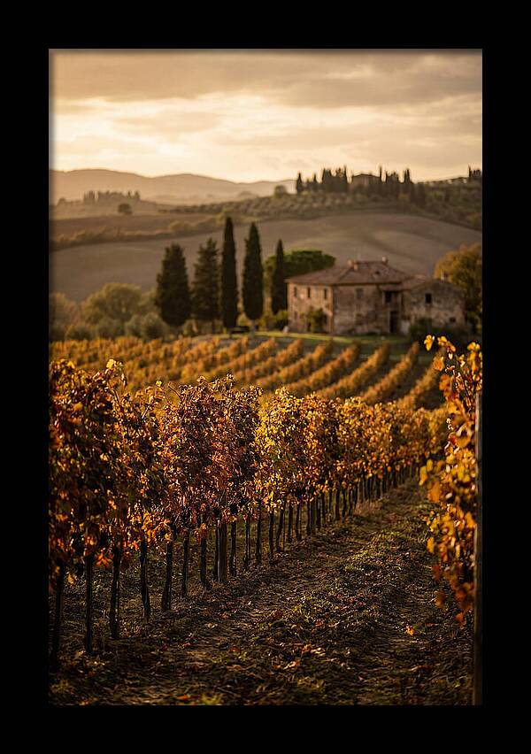 Seasonal Serenity In Tuscany