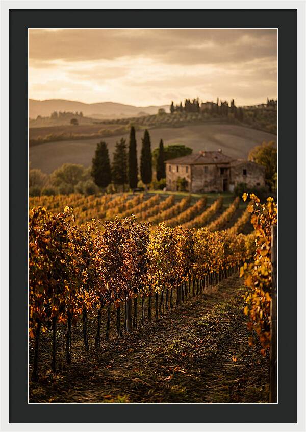Seasonal Serenity In Tuscany