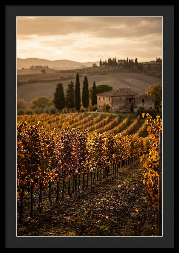 Seasonal Serenity In Tuscany