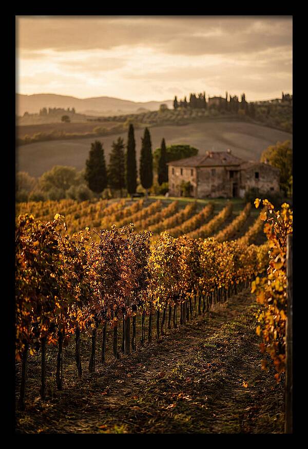 Seasonal Serenity In Tuscany