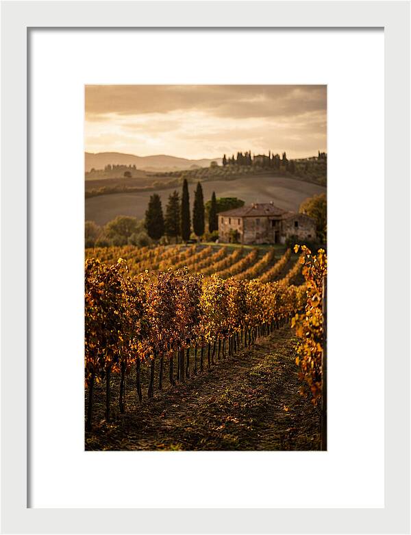 Seasonal Serenity In Tuscany