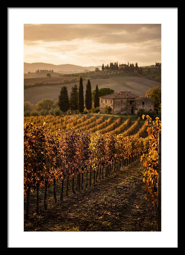 Seasonal Serenity In Tuscany