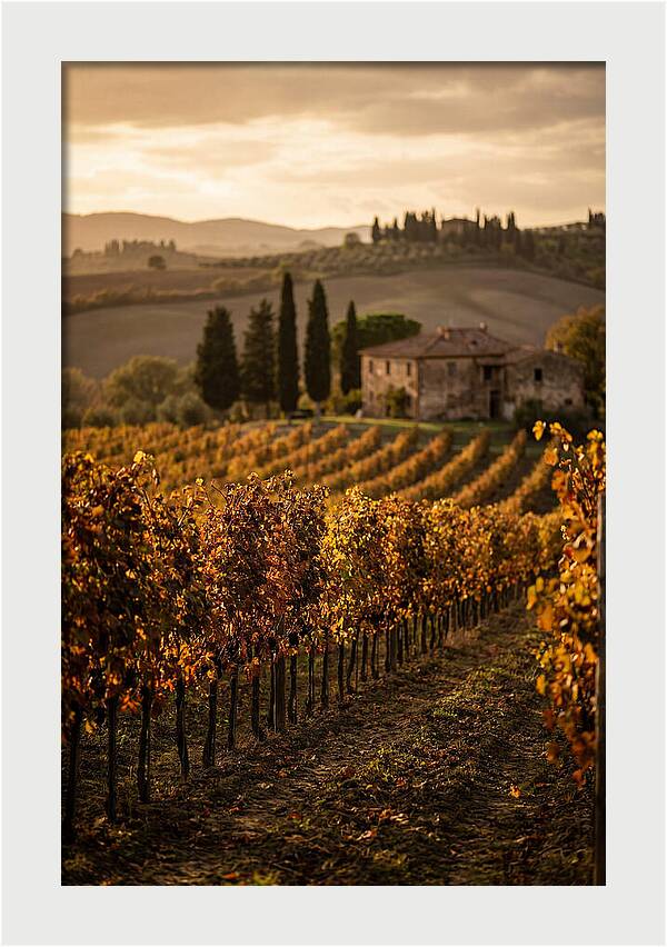 Seasonal Serenity In Tuscany