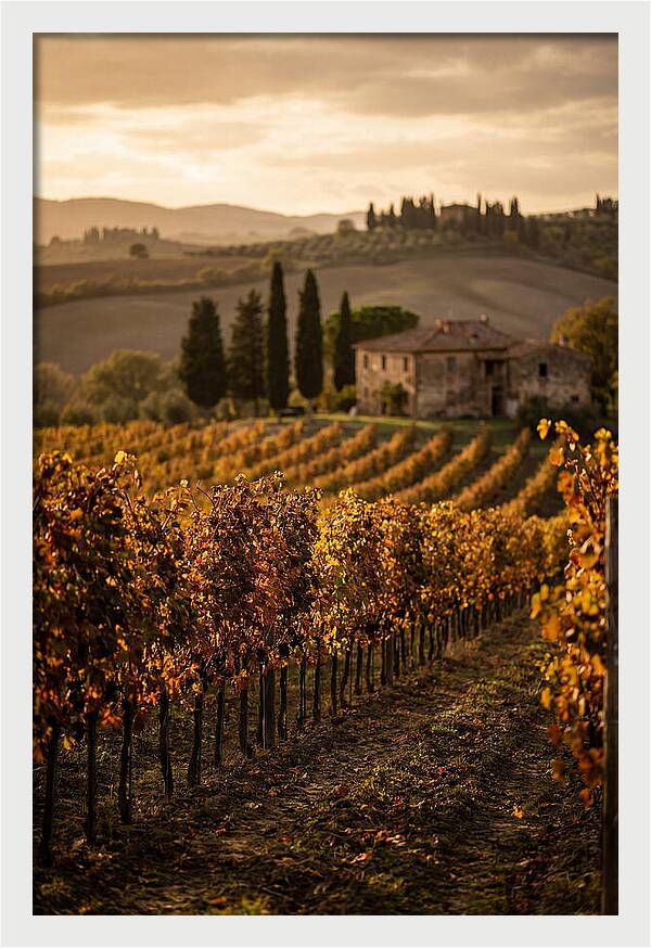 Seasonal Serenity In Tuscany