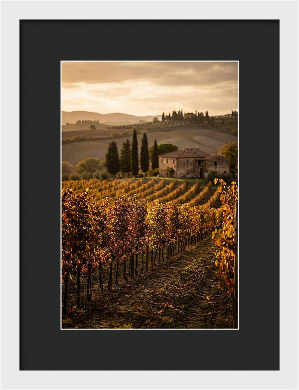 Seasonal Serenity In Tuscany