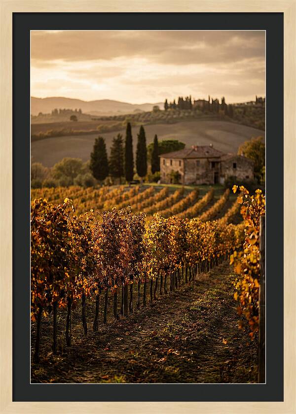 Seasonal Serenity In Tuscany