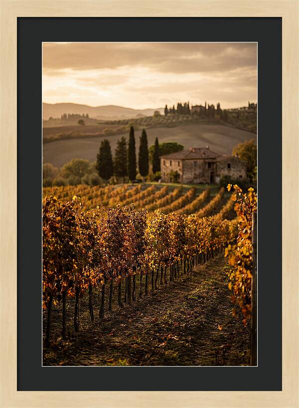 Seasonal Serenity In Tuscany