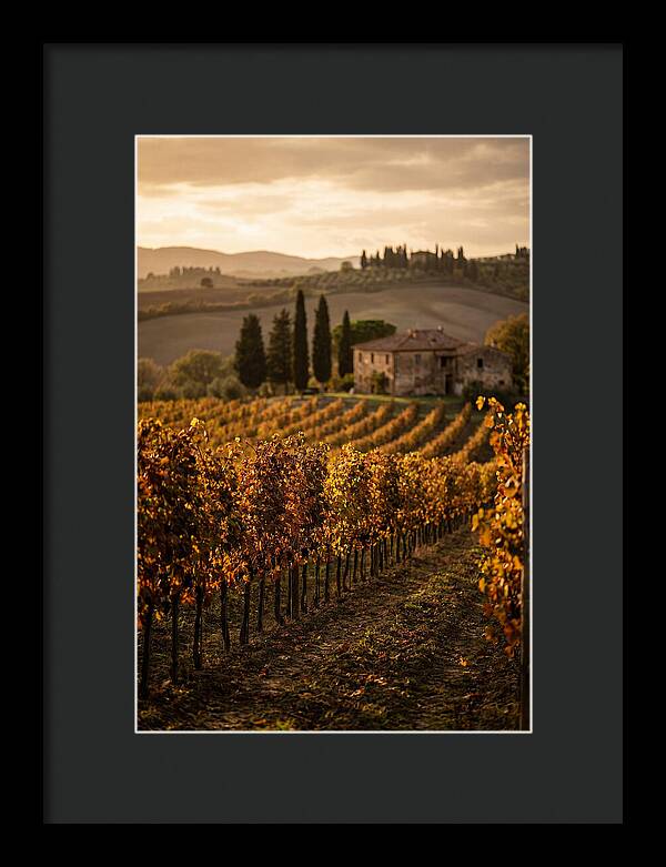 Seasonal Serenity In Tuscany