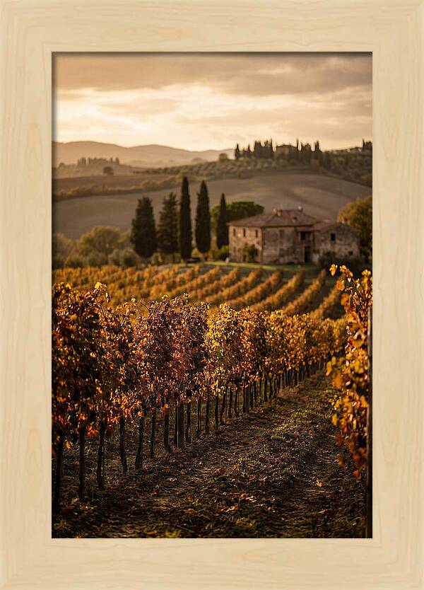 Seasonal Serenity In Tuscany