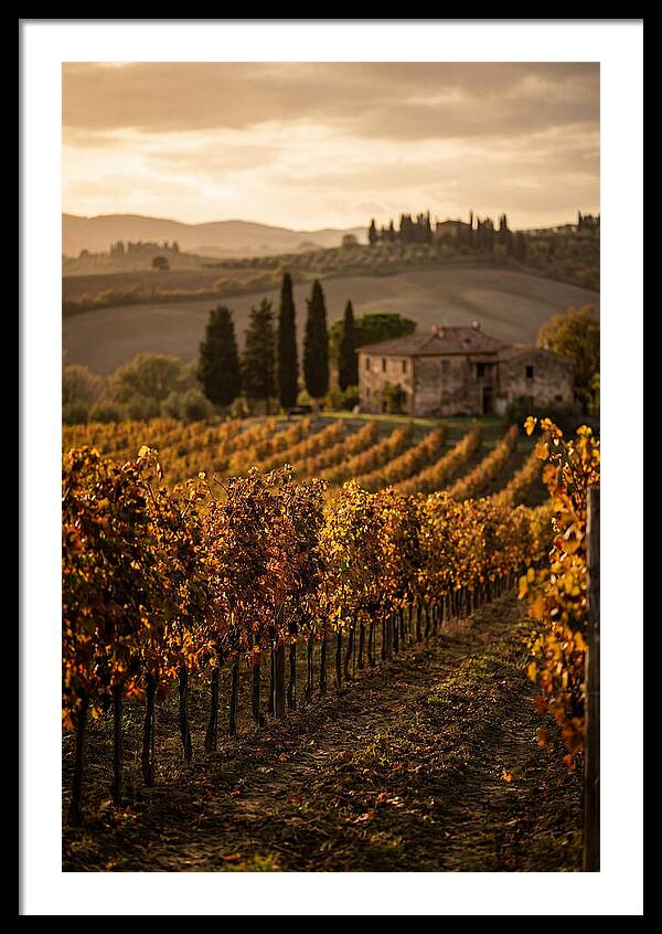 Seasonal Serenity In Tuscany