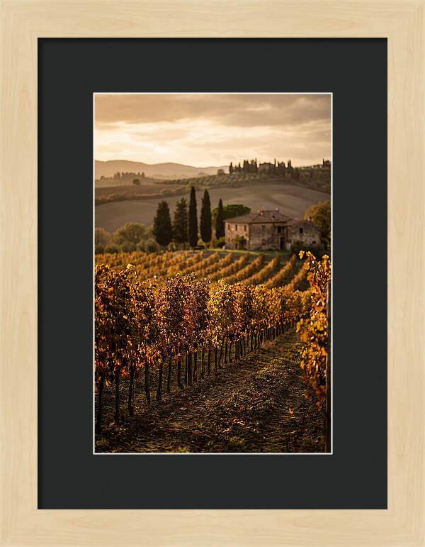 Seasonal Serenity In Tuscany