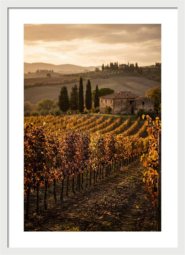 Seasonal Serenity In Tuscany