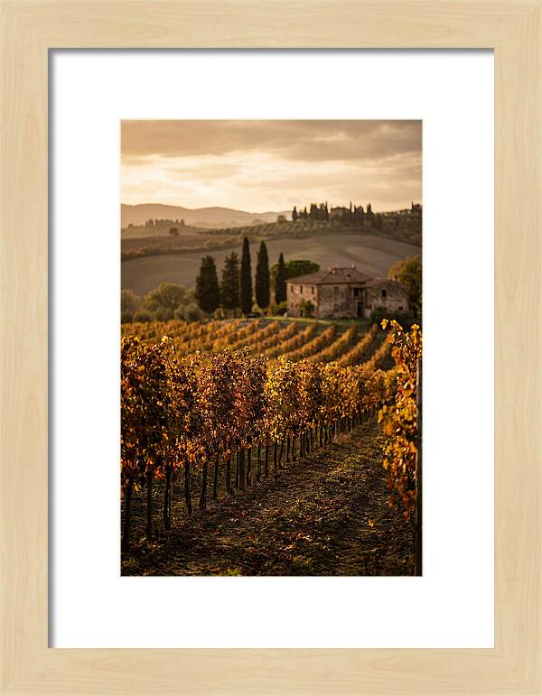 Seasonal Serenity In Tuscany