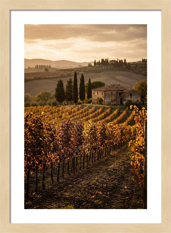 Seasonal Serenity In Tuscany