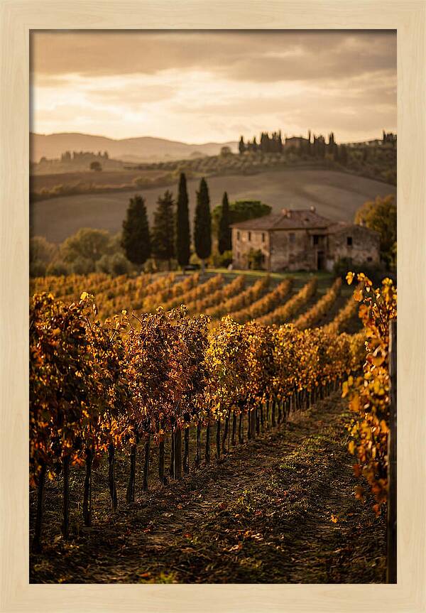 Seasonal Serenity In Tuscany