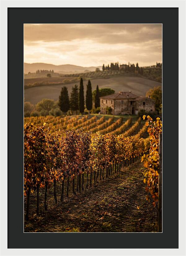 Seasonal Serenity In Tuscany