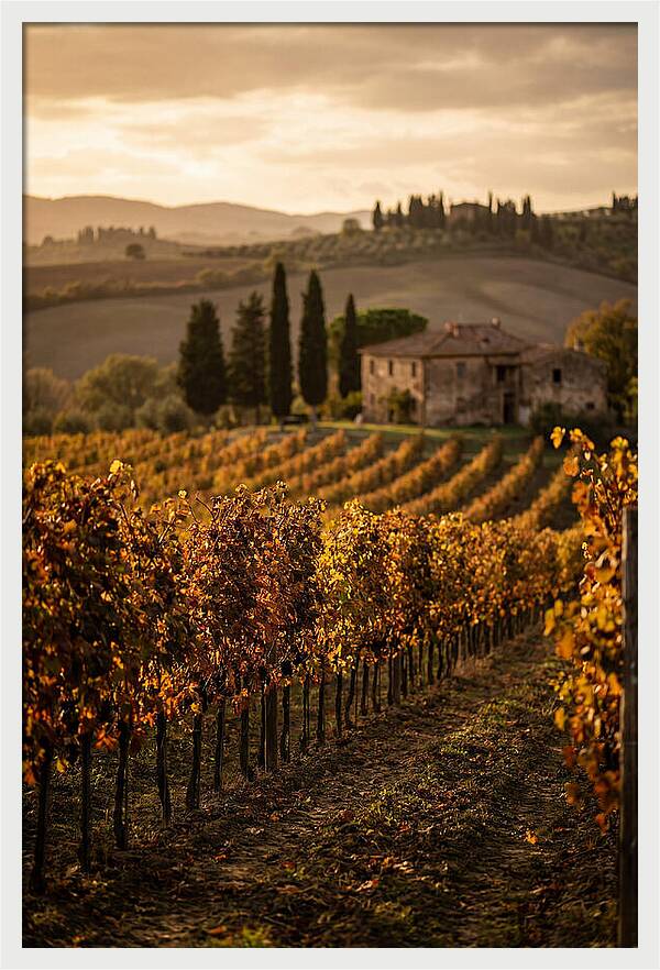 Seasonal Serenity In Tuscany