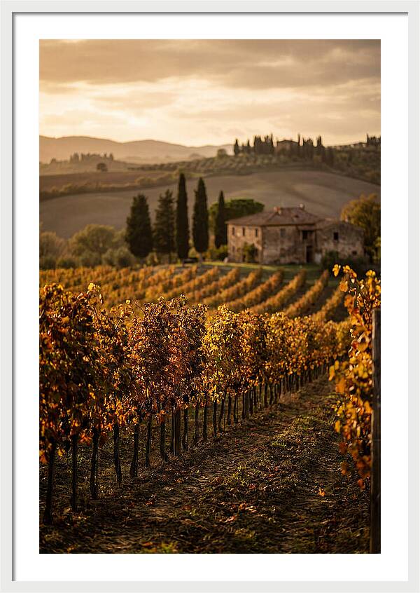 Seasonal Serenity In Tuscany