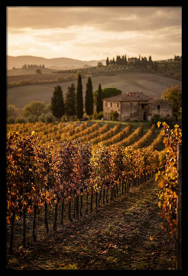 Seasonal Serenity In Tuscany