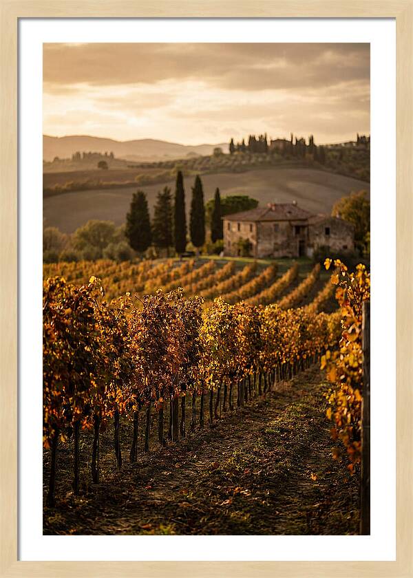 Seasonal Serenity In Tuscany