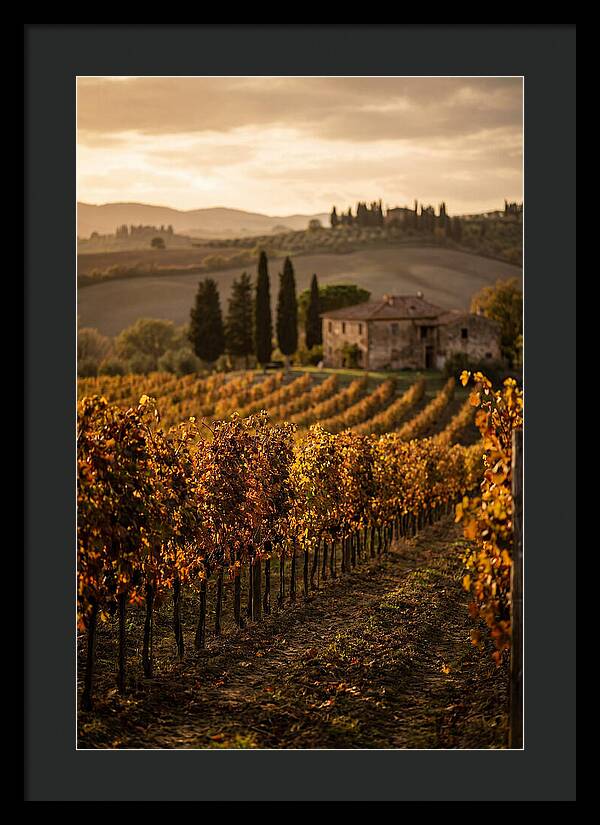 Seasonal Serenity In Tuscany