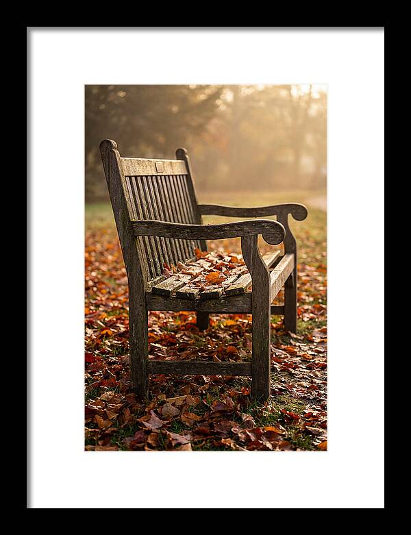Seasonal Serenity On A Park Bench