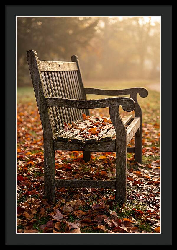 Seasonal Serenity On A Park Bench