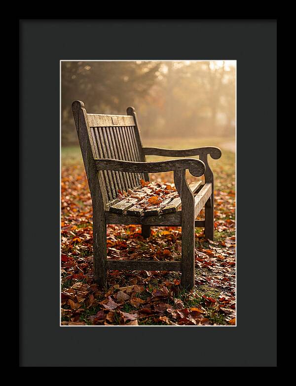 Seasonal Serenity On A Park Bench