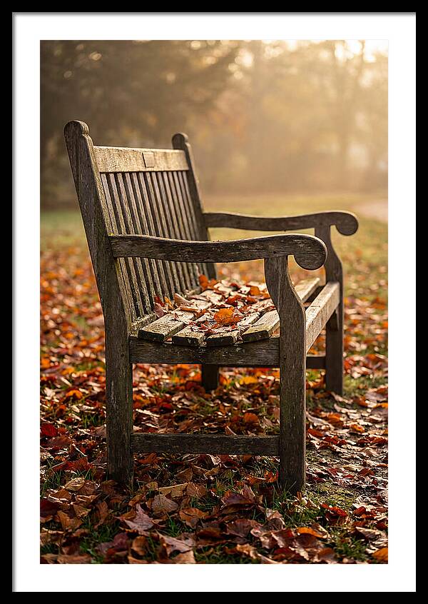 Seasonal Serenity On A Park Bench