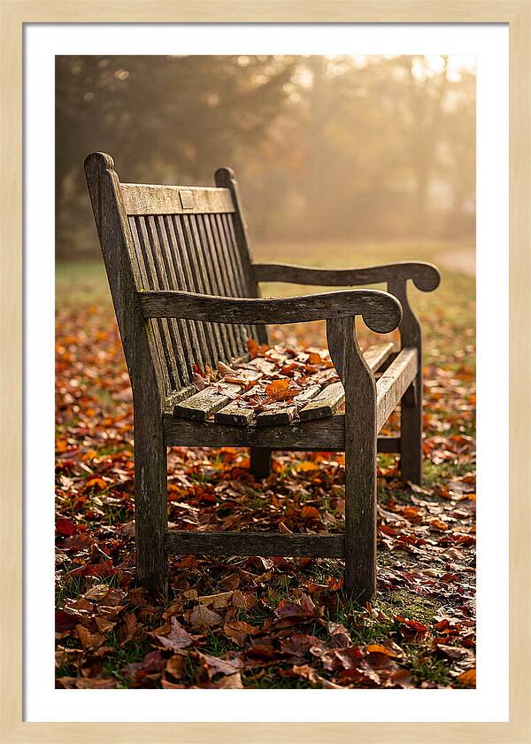 Seasonal Serenity On A Park Bench