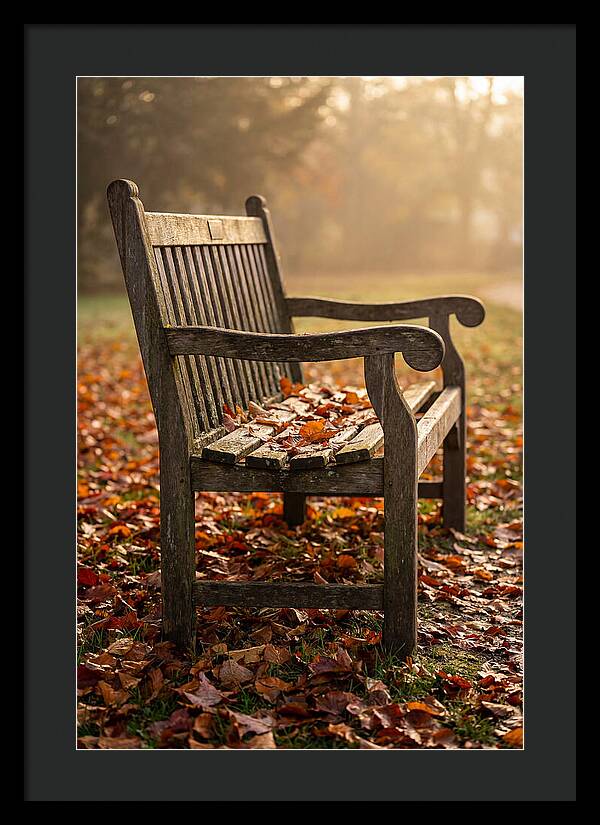 Seasonal Serenity On A Park Bench