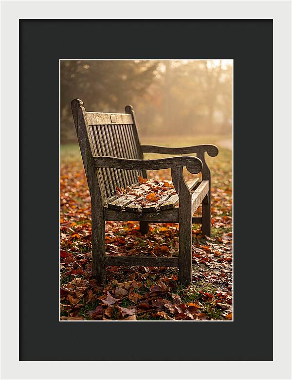 Seasonal Serenity On A Park Bench