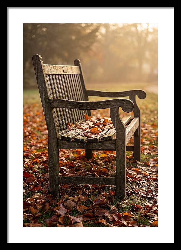 Seasonal Serenity On A Park Bench