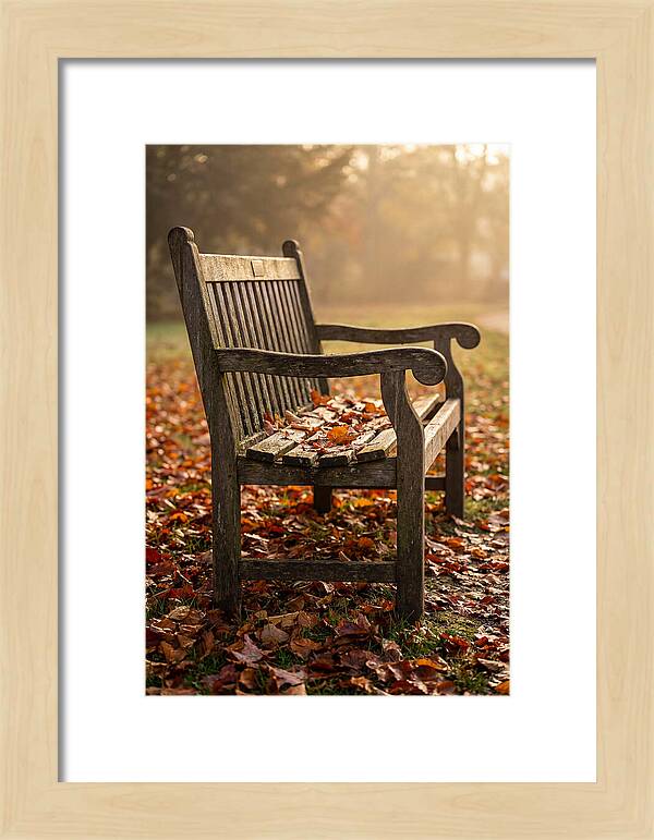 Seasonal Serenity On A Park Bench