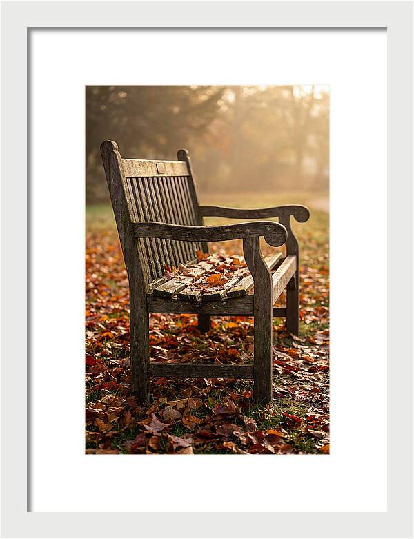 Seasonal Serenity On A Park Bench