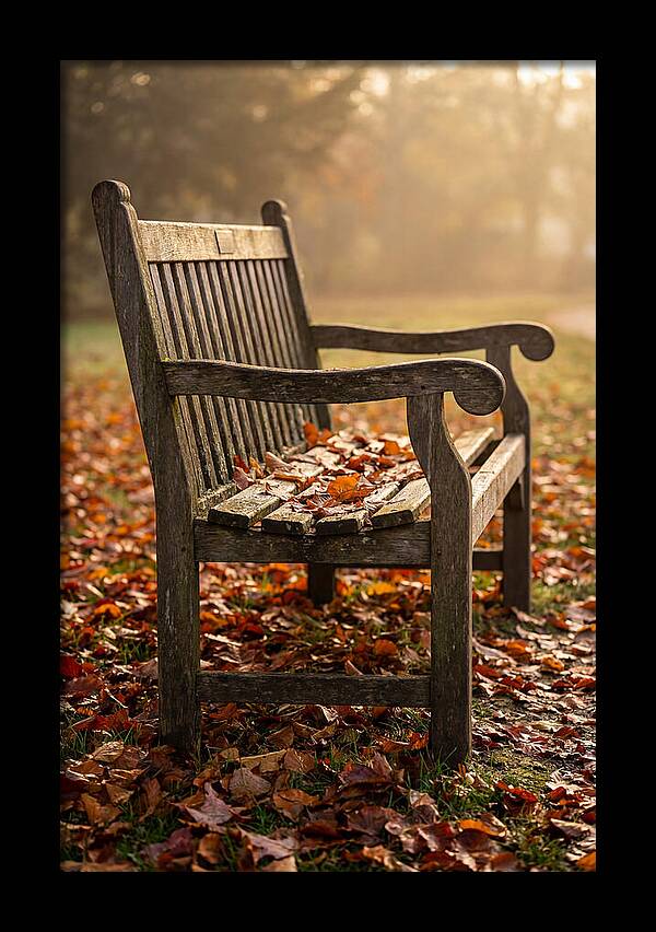 Seasonal Serenity On A Park Bench