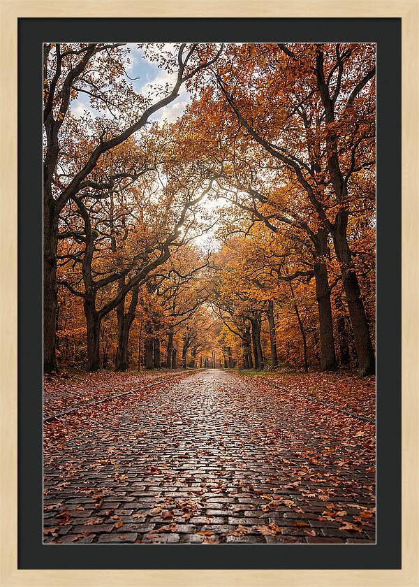 Seasonal Serenity On Oak Avenue