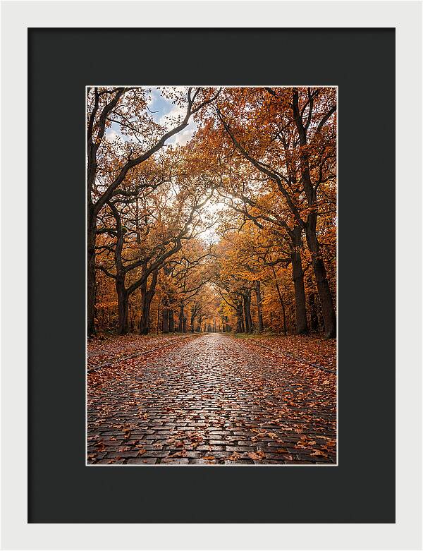 Seasonal Serenity On Oak Avenue
